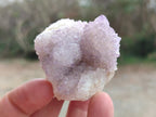 Natural Drusy Spirit Amethyst Clusters x 24 From Boekenhouthoek, South Africa