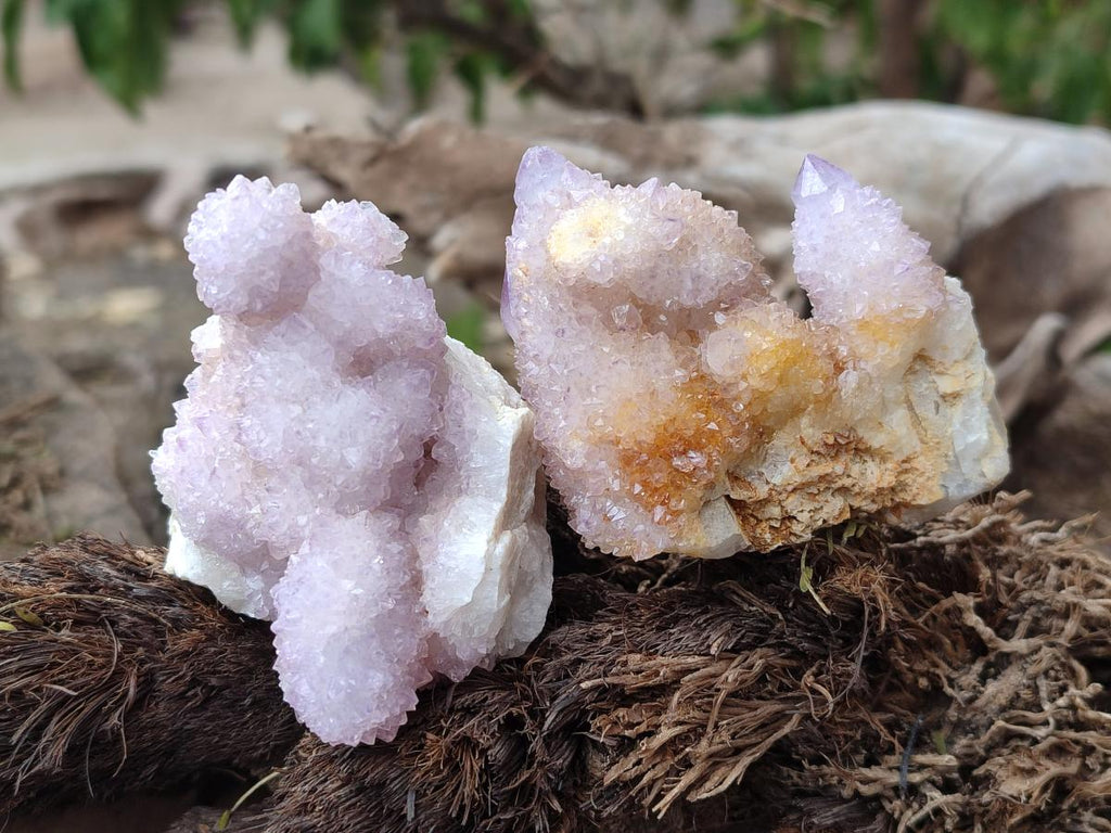 Natural Drusy Spirit Amethyst Clusters x 24 From Boekenhouthoek, South Africa