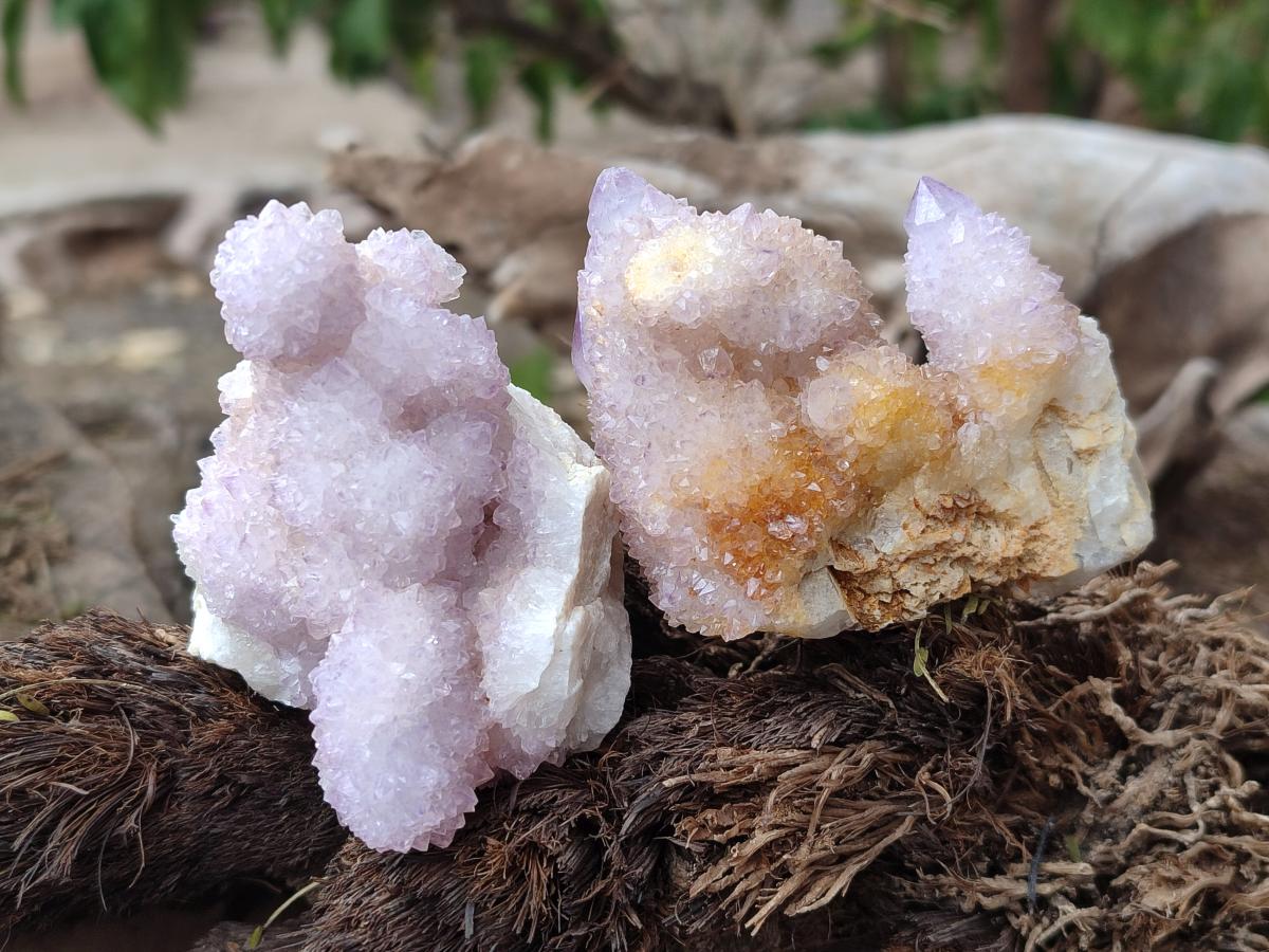 Natural Drusy Spirit Amethyst Clusters x 24 From Boekenhouthoek, South Africa