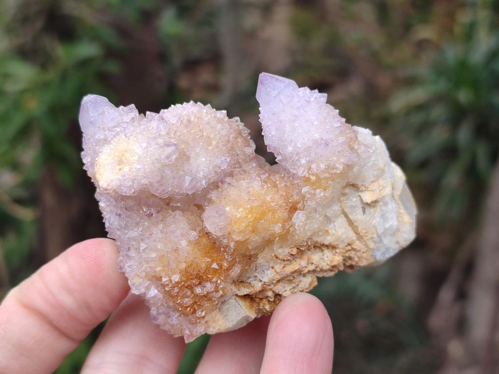 Natural Drusy Spirit Amethyst Clusters x 24 From Boekenhouthoek, South Africa