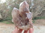 Natural Red Hematoid Quartz Clusters x 2 From Karoi, Zimbabwe