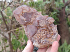 Natural Red Hematoid Quartz Clusters x 2 From Karoi, Zimbabwe