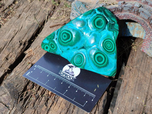 Polished Malacolla Free Forms x 3 From Kulukuluku, Congo