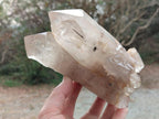 Natural and Polished Double Terminated Twin Smokey Quartz Crystal x 1 From Angola