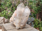 Natural and Polished Double Terminated Twin Smokey Quartz Crystal x 1 From Angola