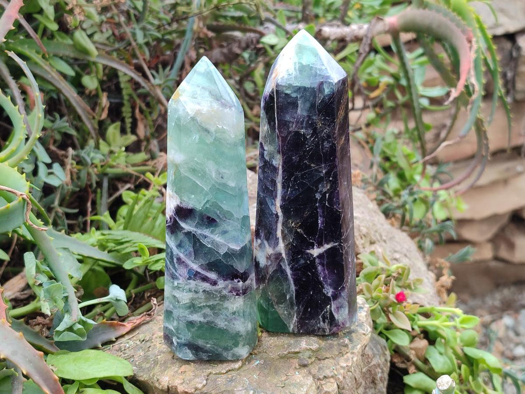 Polished Watermelon Fluorite Display Crystals x 4 From Uis, Namibia