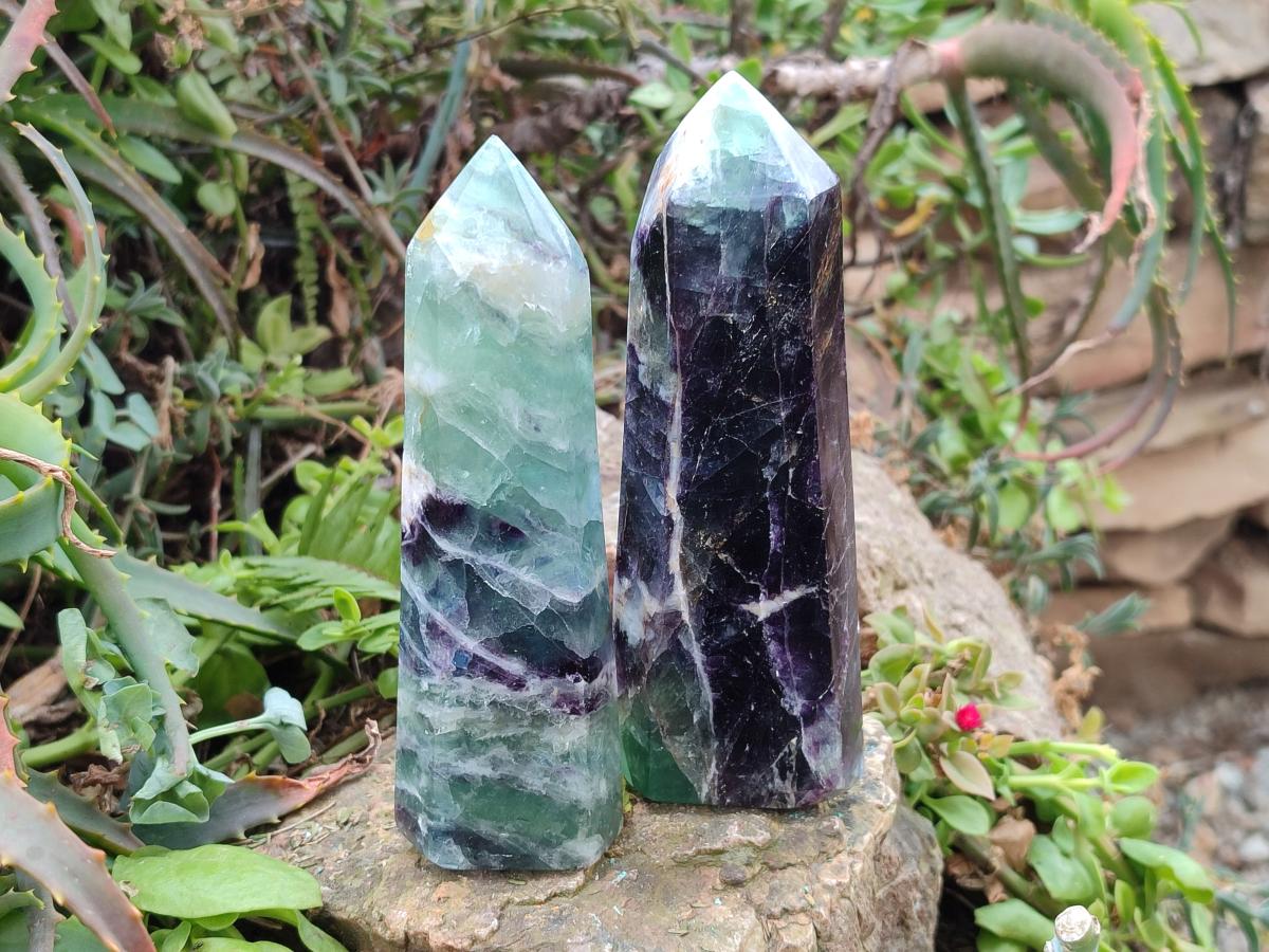 Polished Watermelon Fluorite Display Crystals x 4 From Uis, Namibia