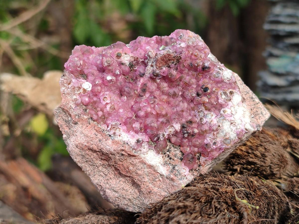 Natural Spherocobaltite Specimens with Heterogenite x 4 From Musonoi Mine, Congo