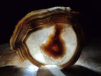 Polished One Side Red Shashe River Agate Slices x 2 From Shashe River, Zimbabwe