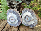 Polished One Side Red Shashe River Agate Slices x 2 From Shashe River, Zimbabwe