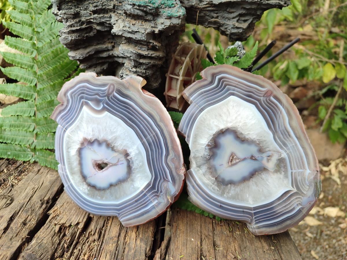 Polished One Side Red Shashe River Agate Slices x 2 From Shashe River, Zimbabwe