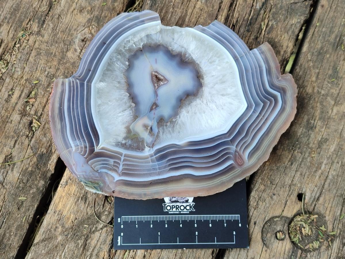 Polished One Side Red Shashe River Agate Slices x 2 From Shashe River, Zimbabwe