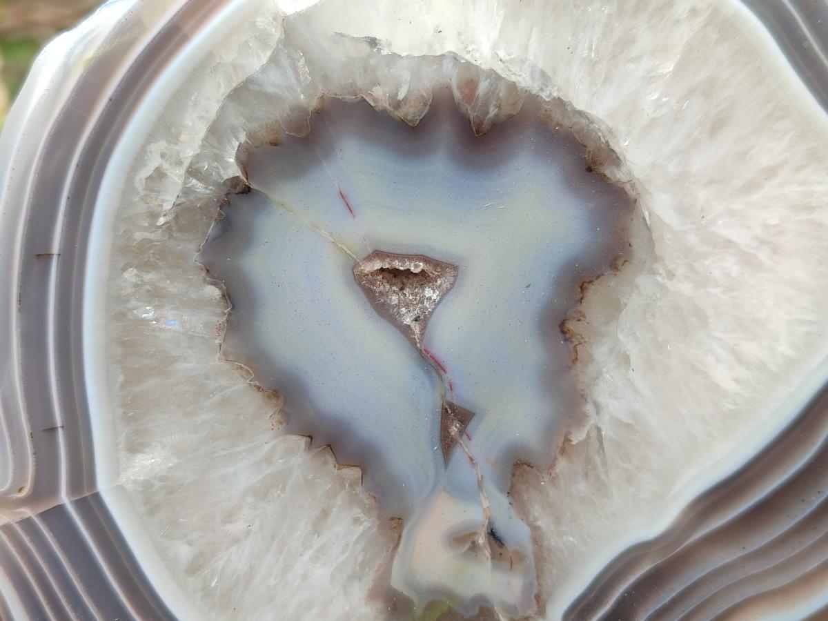 Polished One Side Red Shashe River Agate Slices x 2 From Shashe River, Zimbabwe