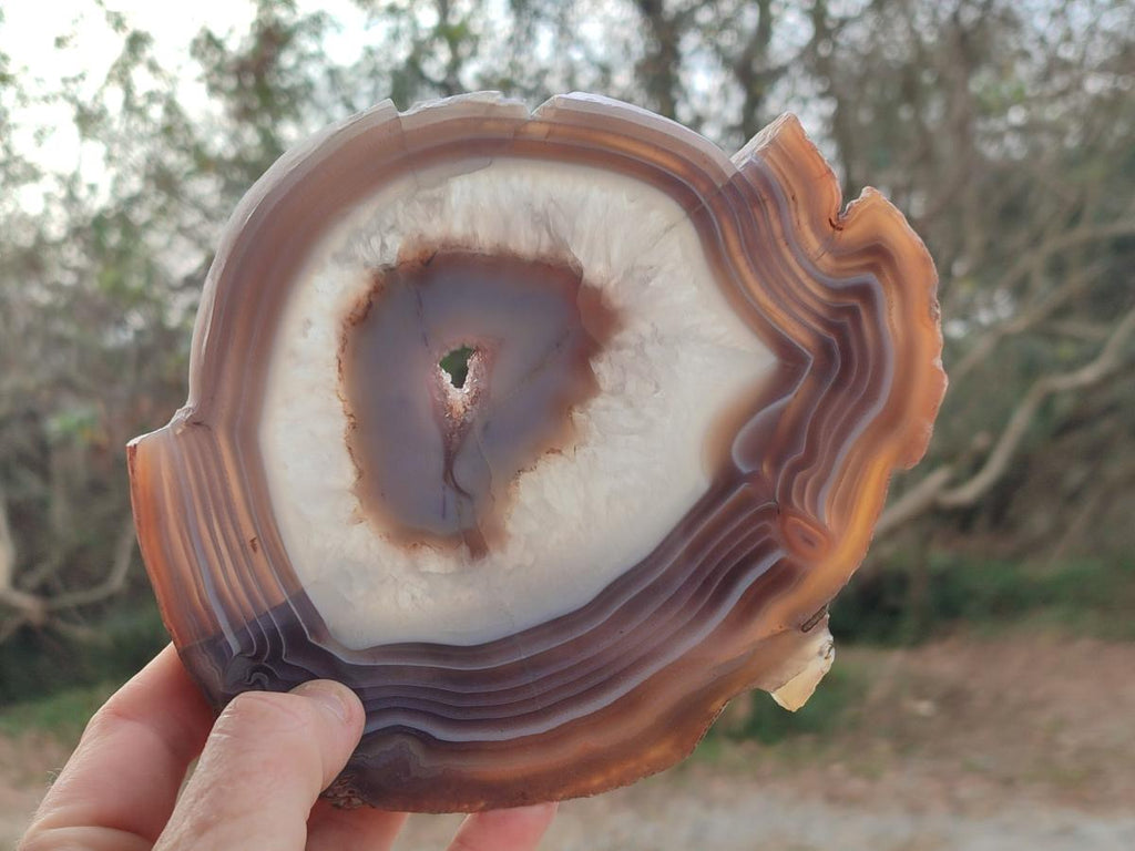 Polished One Side Red Shashe River Agate Slices x 2 From Shashe River, Zimbabwe