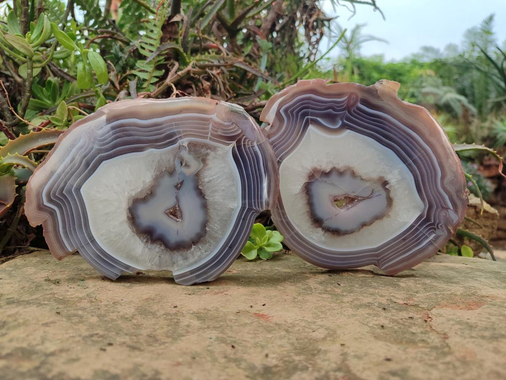 Polished One Side Red Shashe River Agate Slices x 2 From Shashe River, Zimbabwe
