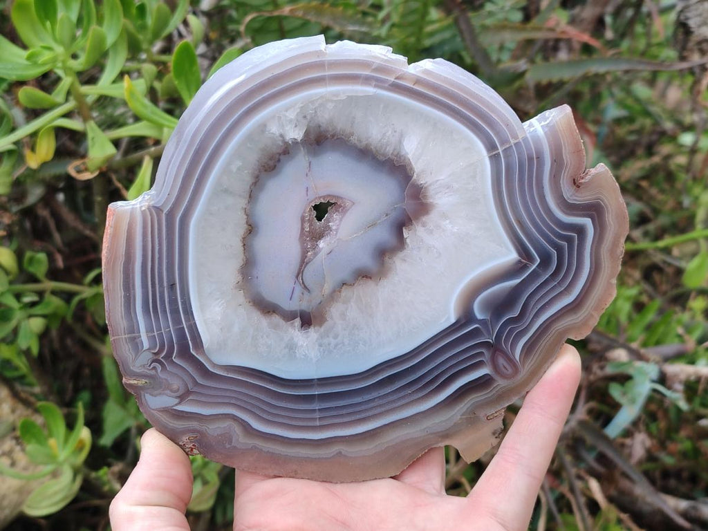 Polished One Side Red Shashe River Agate Slices x 2 From Shashe River, Zimbabwe