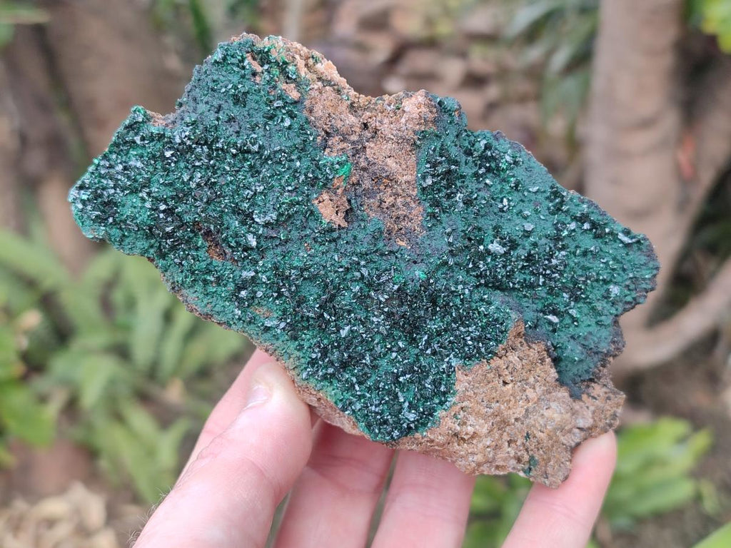Natural Rare Crystalline Malachite Specimens x 6 From Tenke Fungurume, Congo