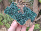 Natural Rare Crystalline Malachite Specimens x 6 From Tenke Fungurume, Congo