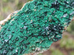 Natural Rare Crystalline Malachite Specimens x 6 From Tenke Fungurume, Congo