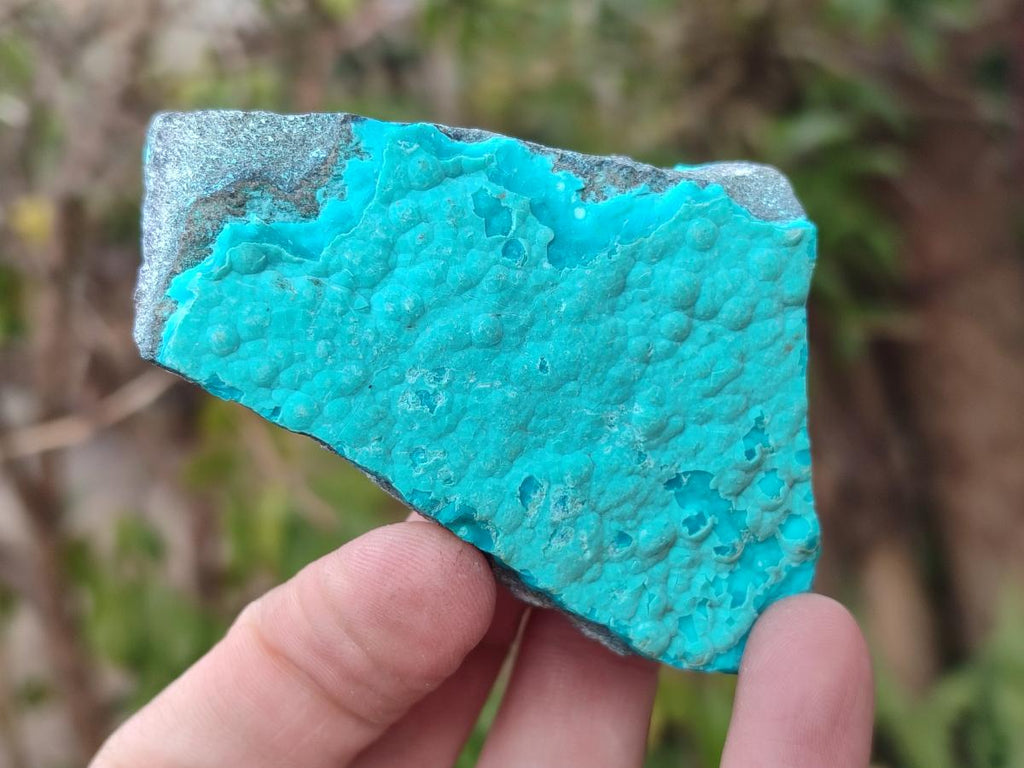 Natural Botryoidal Chrysocolla Specimens x 12 From Kulukuluku, Congo