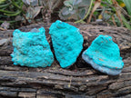 Natural Botryoidal Chrysocolla Specimens x 12 From Kulukuluku, Congo