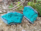 Natural Botryoidal Chrysocolla Specimens x 12 From Kulukuluku, Congo