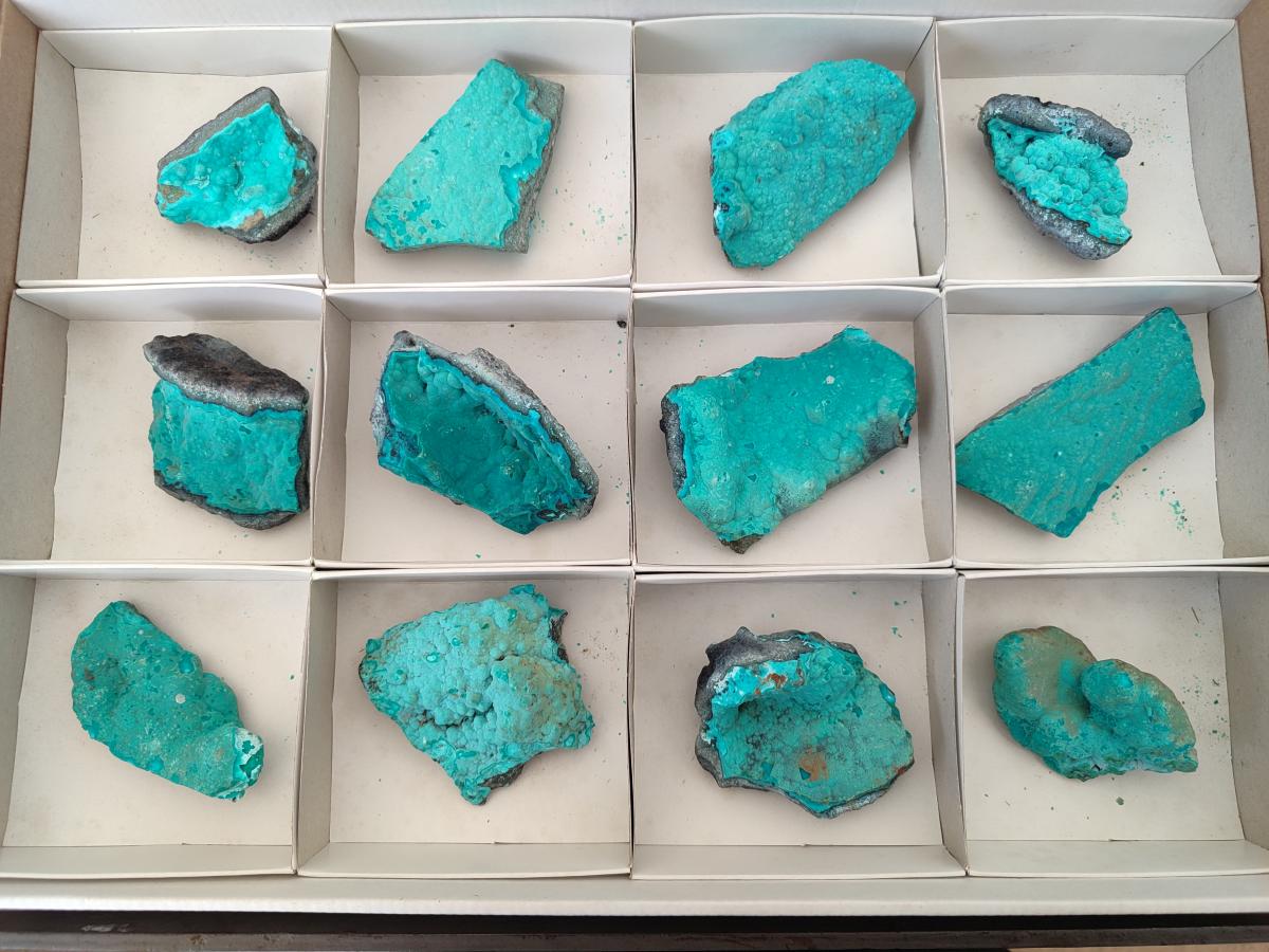 Natural Botryoidal Chrysocolla Specimens x 12 From Kulukuluku, Congo