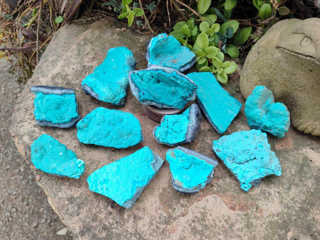 Natural Botryoidal Chrysocolla Specimens x 12 From Kulukuluku, Congo