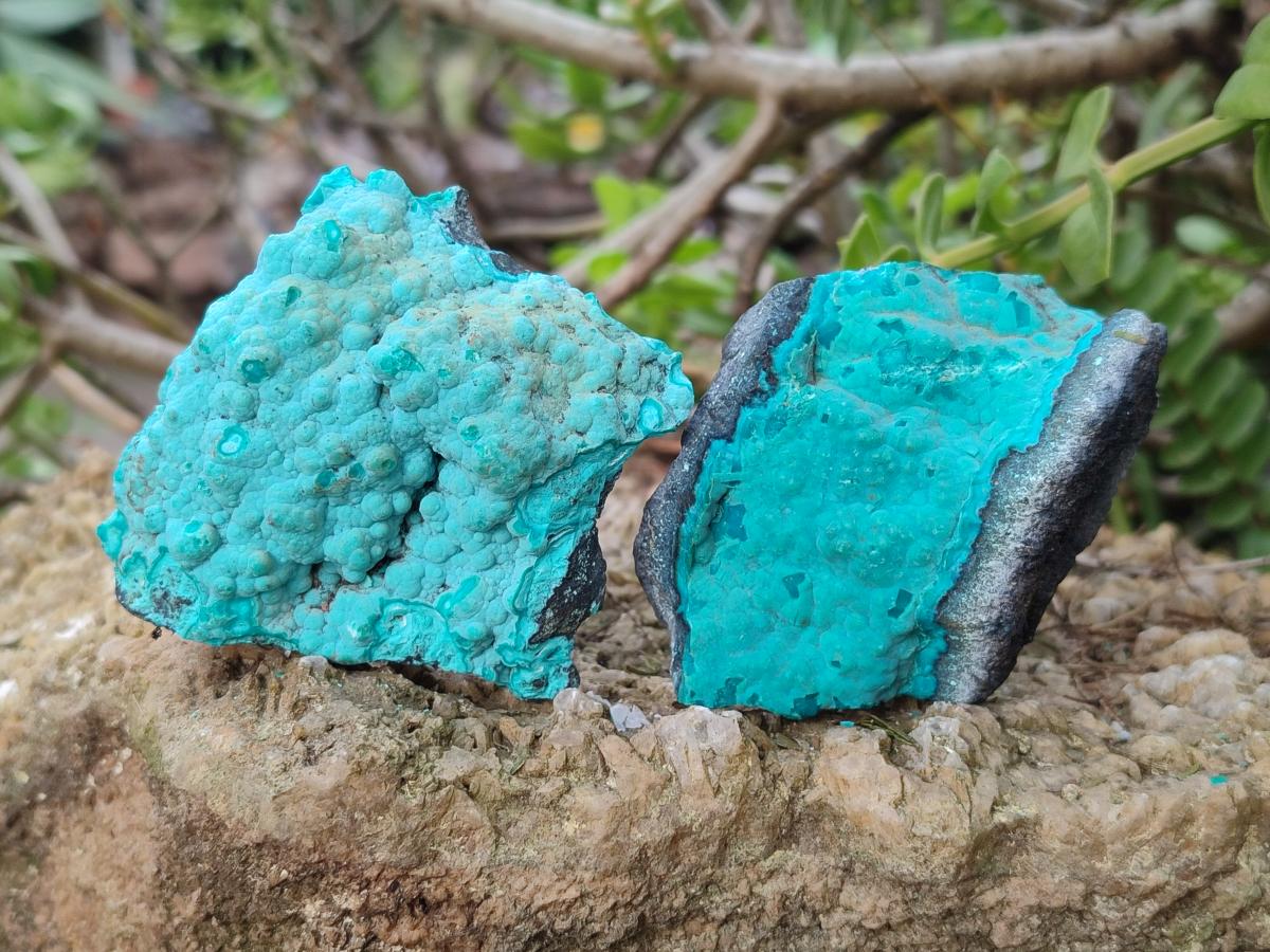 Natural Botryoidal Chrysocolla Specimens x 12 From Kulukuluku, Congo