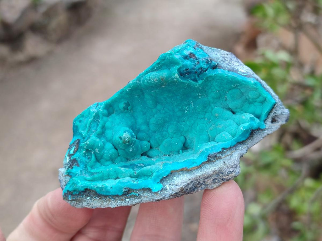 Natural Botryoidal Chrysocolla Specimens x 12 From Kulukuluku, Congo
