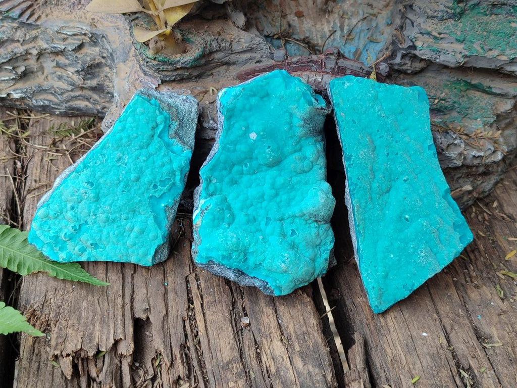 Natural Botryoidal Chrysocolla Specimens x 12 From Kulukuluku, Congo