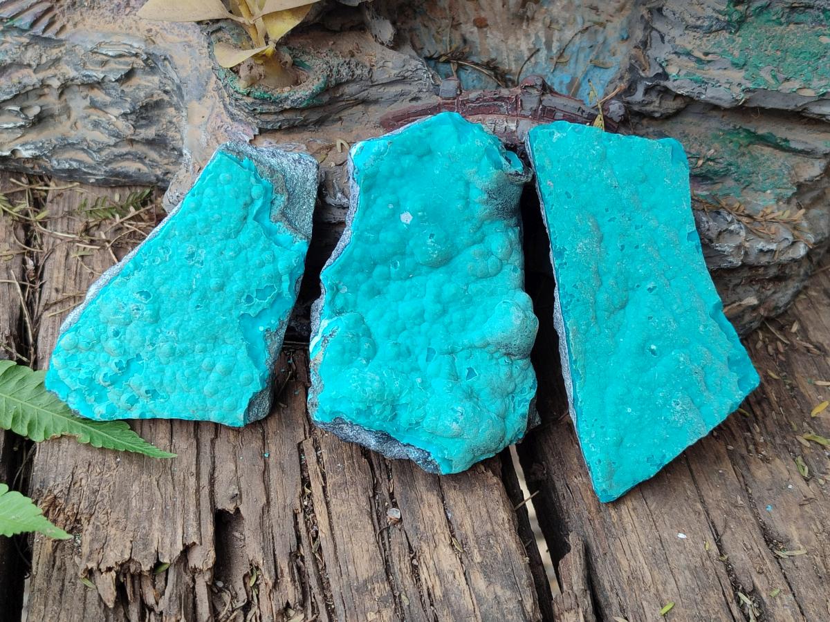 Natural Botryoidal Chrysocolla Specimens x 12 From Kulukuluku, Congo
