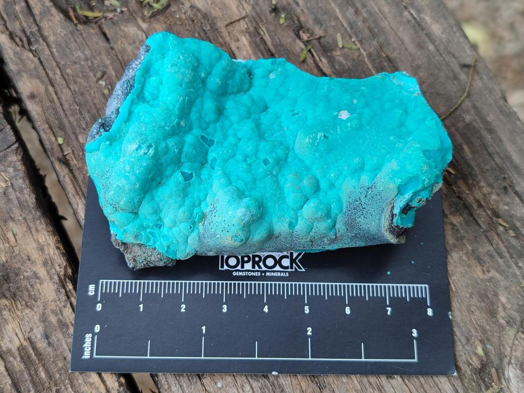 Natural Botryoidal Chrysocolla Specimens x 12 From Kulukuluku, Congo