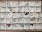 Polished Quartz Crystals with Inclusions x 35 From Madagascar