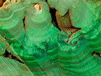 Polished and Natural Large Silky Malachite Specimens x 2 From Kasompe, Congo - Toprock Gemstones and Minerals 