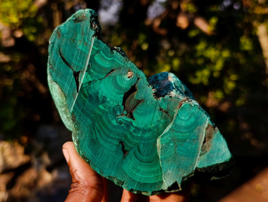 Polished and Natural Large Silky Malachite Specimens x 2 From Kasompe, Congo - Toprock Gemstones and Minerals 