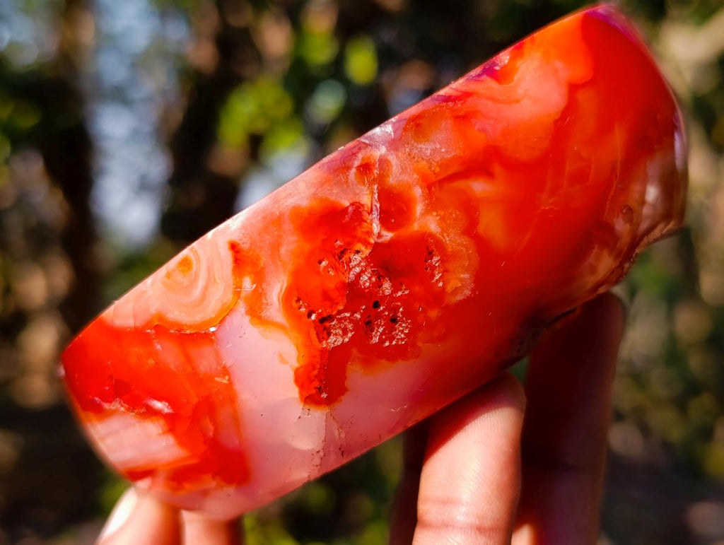 Polished and Natural Carnelian Agate Gemstone Bowls  x 3 From Madagascar - Toprock Gemstones and Minerals 