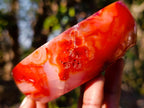 Polished and Natural Carnelian Agate Gemstone Bowls  x 3 From Madagascar - Toprock Gemstones and Minerals 