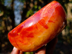 Polished and Natural Carnelian Agate Gemstone Bowls  x 3 From Madagascar - Toprock Gemstones and Minerals 