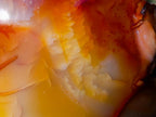 Polished and Natural Carnelian Agate Gemstone Bowls  x 3 From Madagascar - Toprock Gemstones and Minerals 