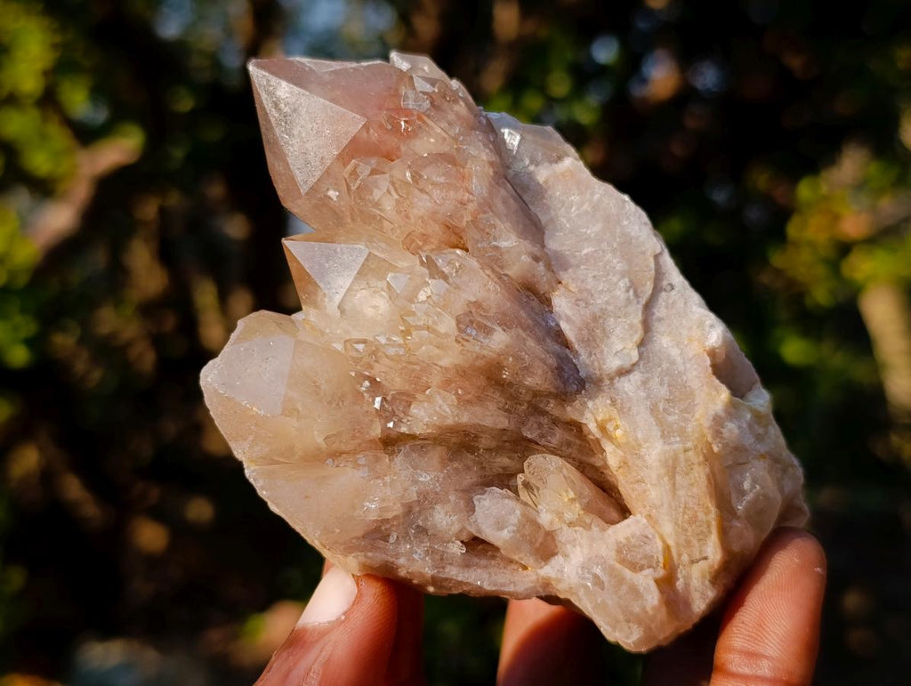 Natural Cascading White Phantom Smokey Luena Quartz Clusters x 6 From Luena, Congo - Toprock Gemstones and Minerals 