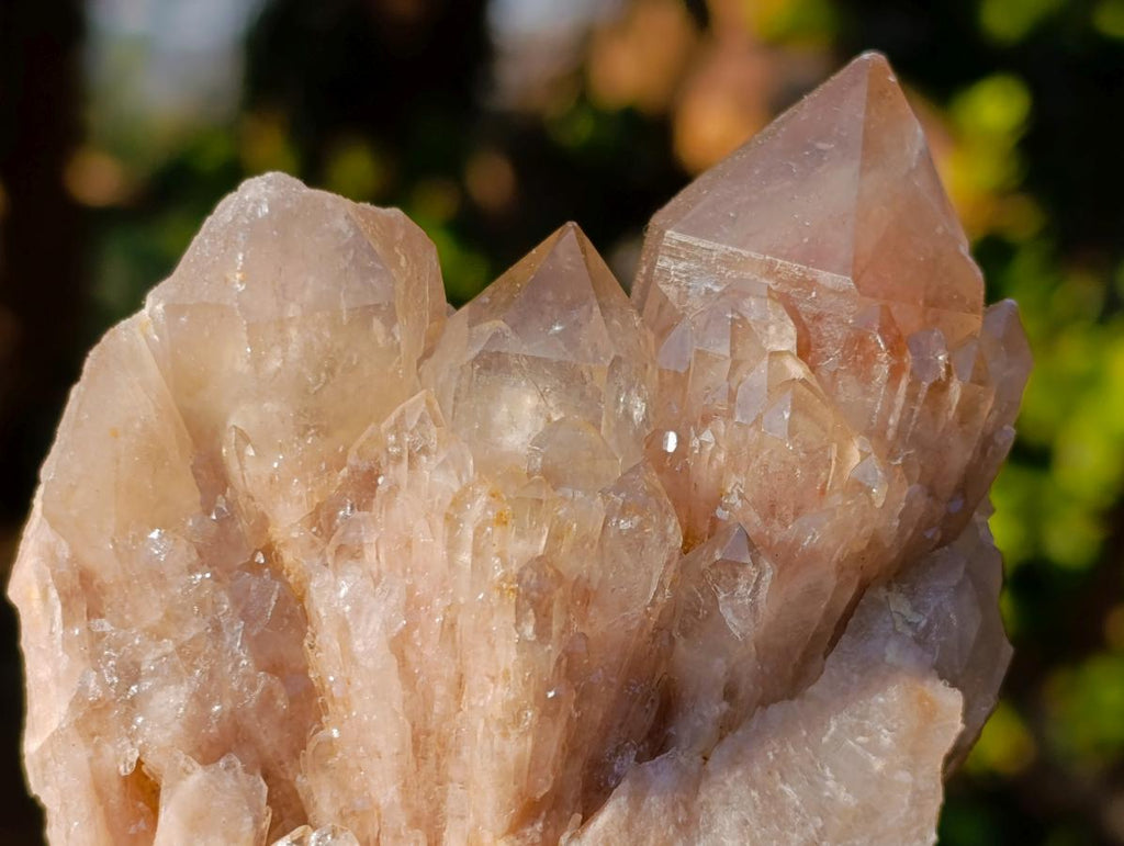 Natural Cascading White Phantom Smokey Luena Quartz Clusters x 6 From Luena, Congo - Toprock Gemstones and Minerals 