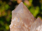Natural Cascading White Phantom Smokey Luena Quartz Clusters x 6 From Luena, Congo - Toprock Gemstones and Minerals 