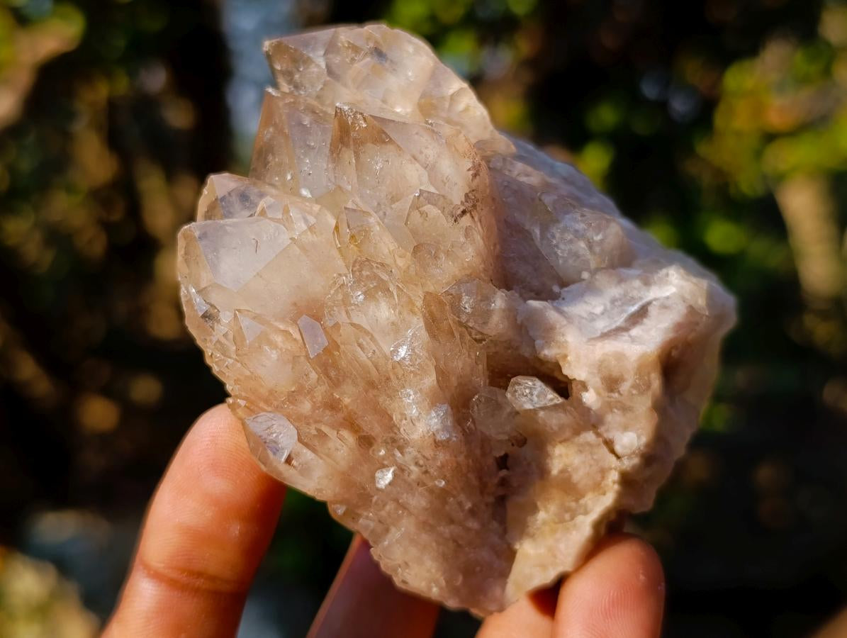 Natural Cascading White Phantom Smokey Luena Quartz Clusters x 6 From Luena, Congo - Toprock Gemstones and Minerals 
