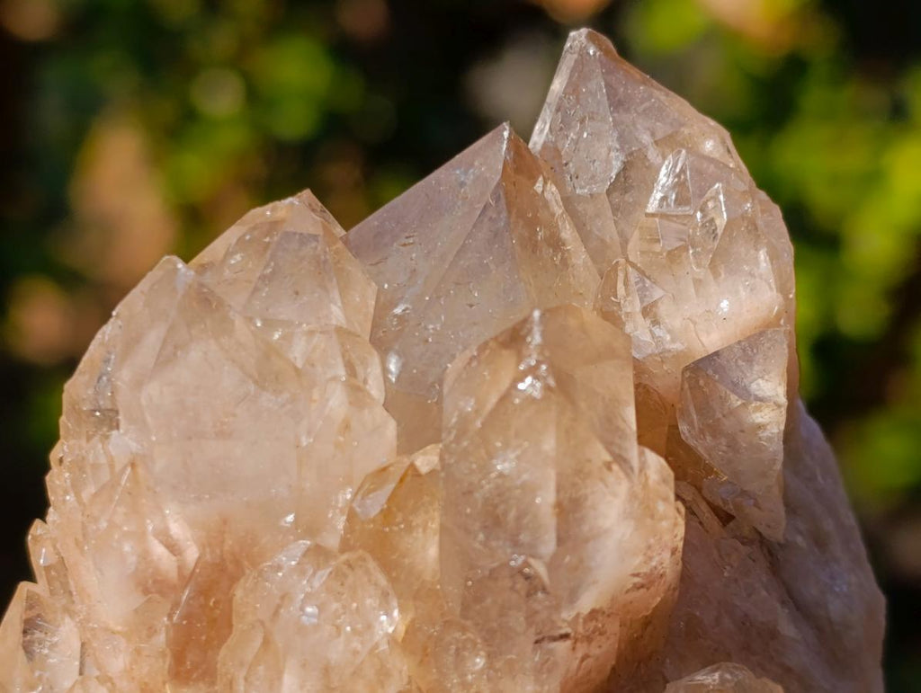 Natural Cascading White Phantom Smokey Luena Quartz Clusters x 6 From Luena, Congo - Toprock Gemstones and Minerals 