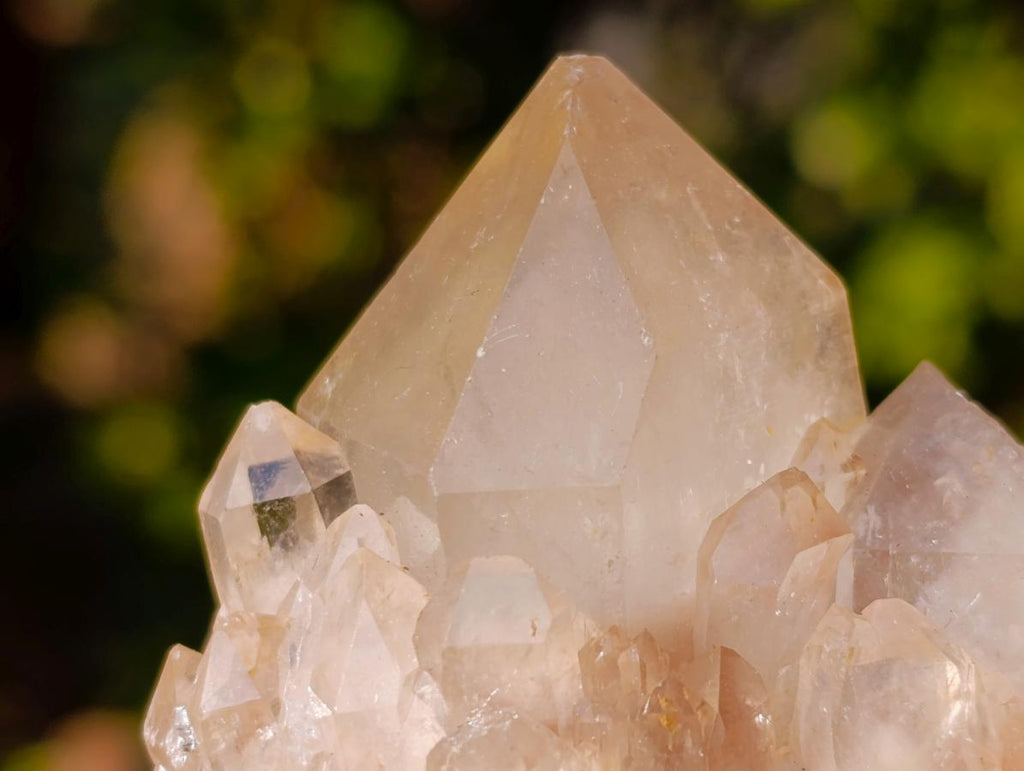 Natural Cascading White Phantom Smokey Luena Quartz Clusters x 6 From Luena, Congo - Toprock Gemstones and Minerals 