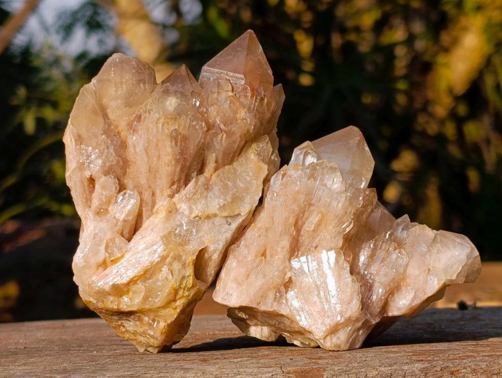 Natural Cascading White Phantom Smokey Luena Quartz Clusters x 6 From Luena, Congo - Toprock Gemstones and Minerals 