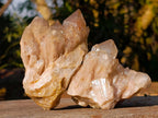 Natural Cascading White Phantom Smokey Luena Quartz Clusters x 6 From Luena, Congo - Toprock Gemstones and Minerals 