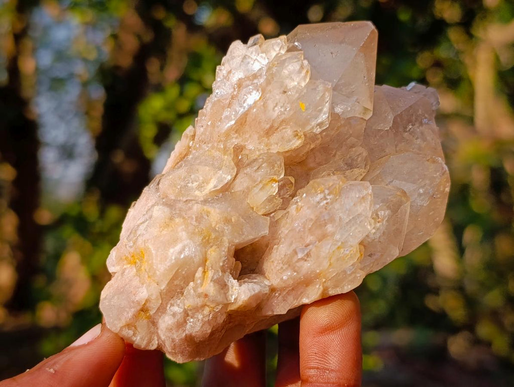 Natural Cascading White Phantom Smokey Luena Quartz Clusters x 6 From Luena, Congo - Toprock Gemstones and Minerals 
