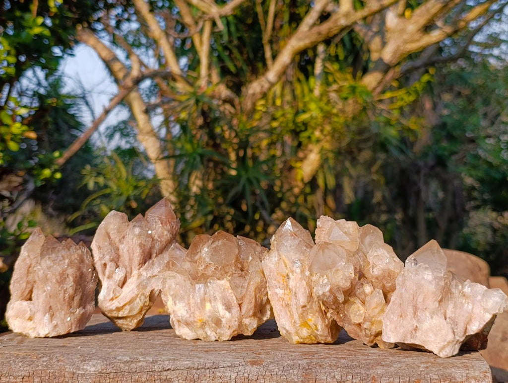 Natural Cascading White Phantom Smokey Luena Quartz Clusters x 6 From Luena, Congo - Toprock Gemstones and Minerals 